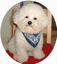 Dusty01_skal
